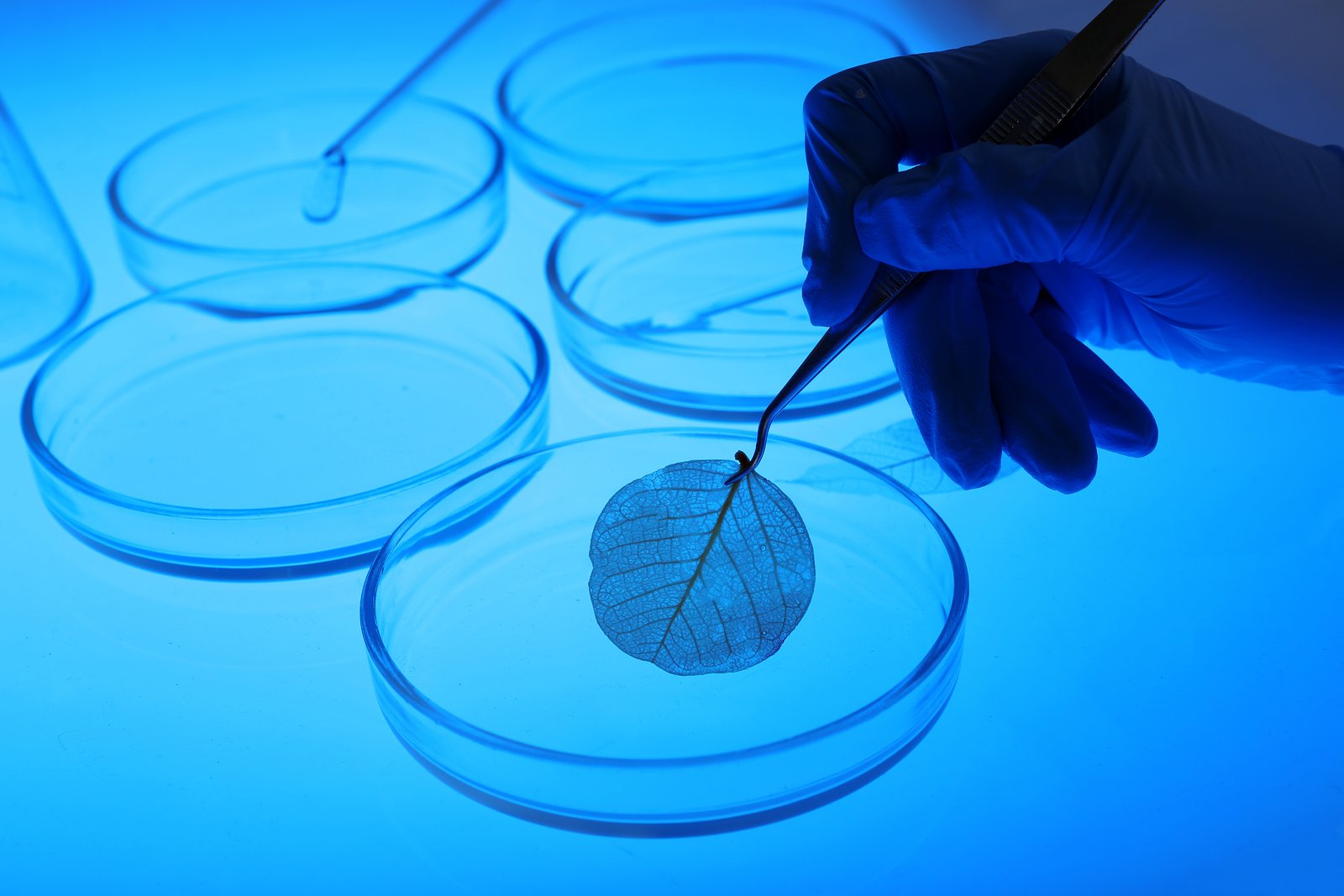 Emerging Trends: Breakthroughs in Cell Biology Research